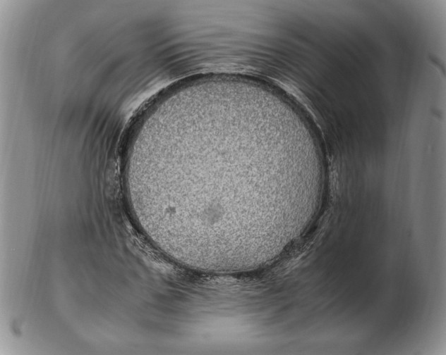 X0000102380971200808221758