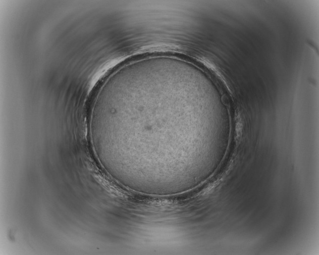 X0000102380973200808221758