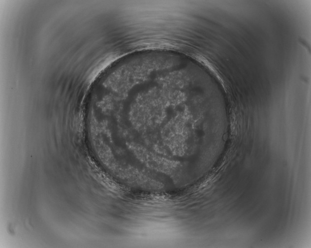 X0000102380975200808221758