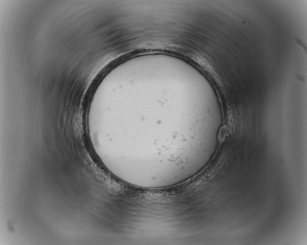 X0000102380976200808221758