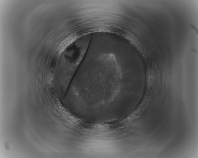 X0000102380977200808221758