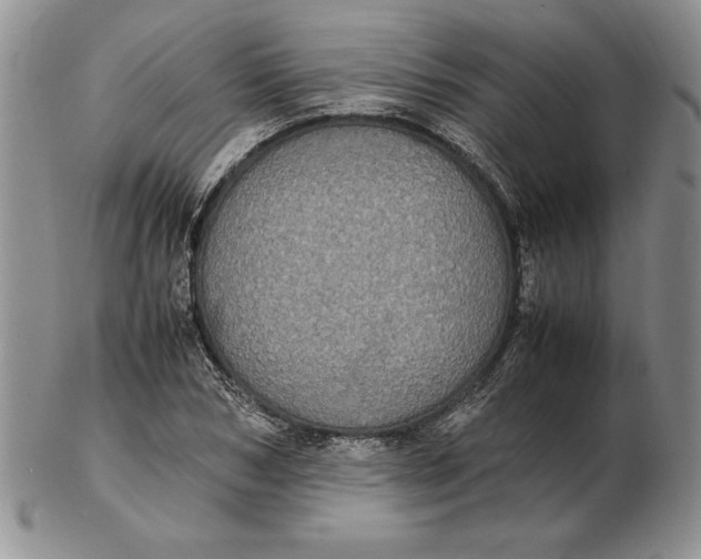 X0000102380978200808221758