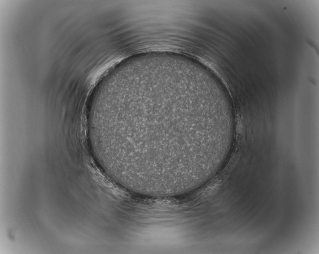 X0000102380979200808221758