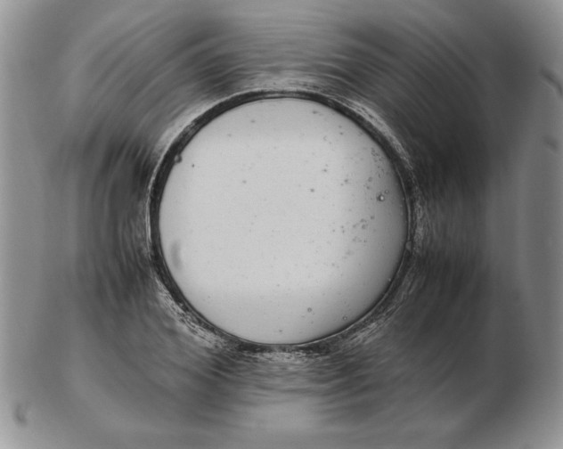 X0000102380980200808221758