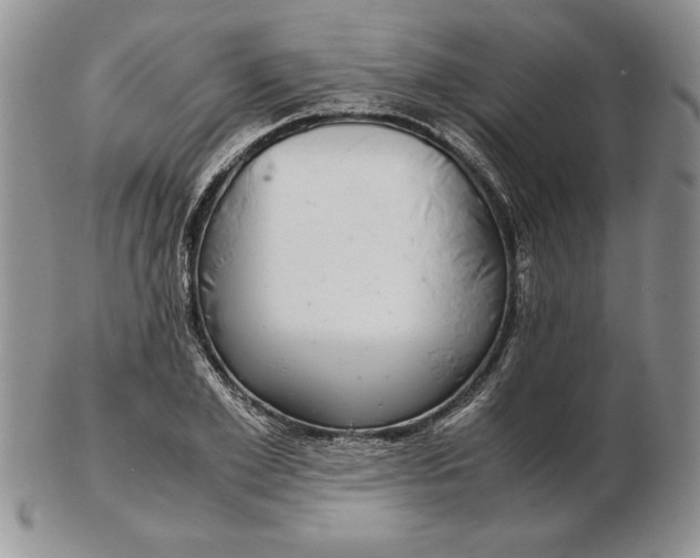 X0000102380981200808221758