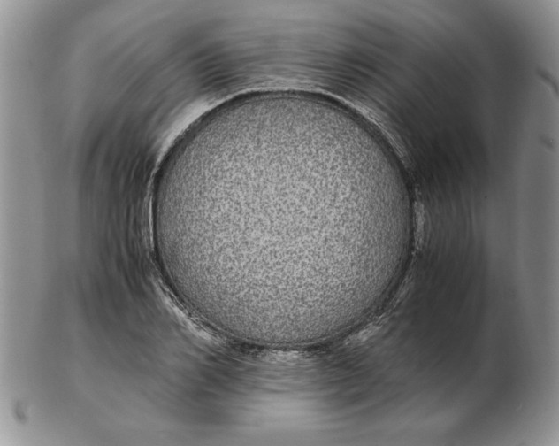 X0000102380982200808221758