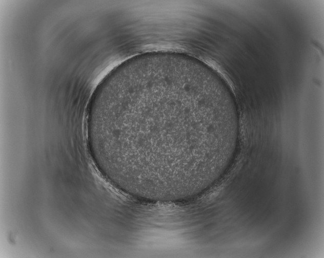 X0000102380983200808221758