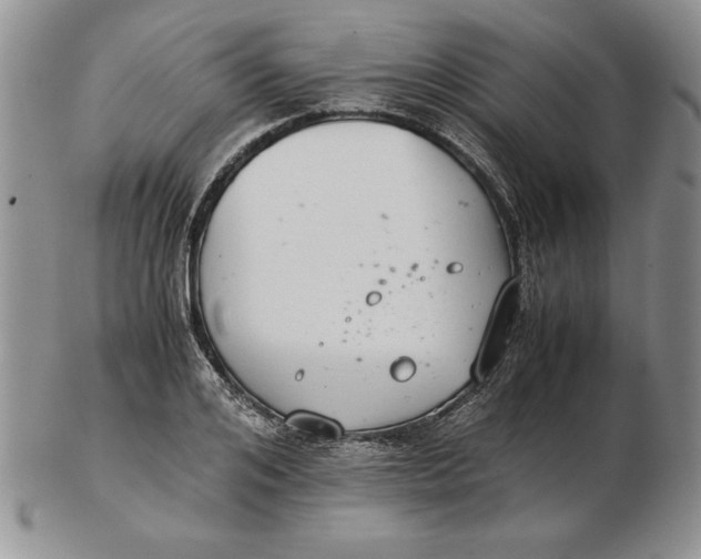 X0000102380984200808221758