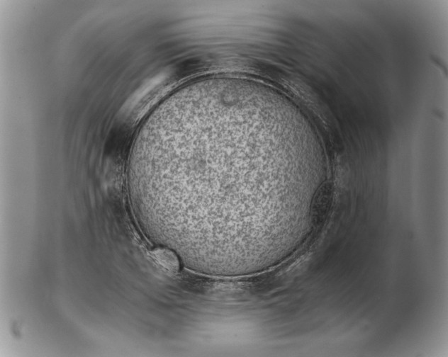 X0000102380985200808221758