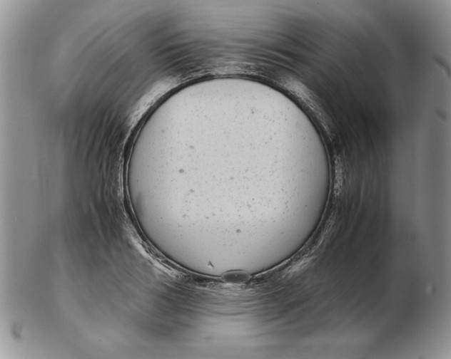 X0000102380986200808221758