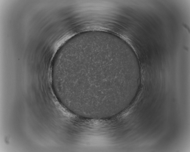 X0000102380987200808221758