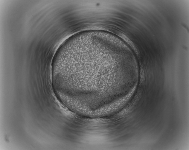 X0000102380988200808221758