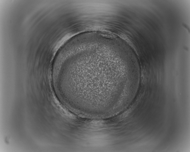 X0000102380989200808221758