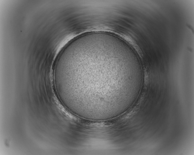 X0000102380990200808221758