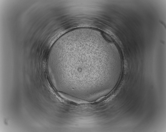 X0000102380993200808221758