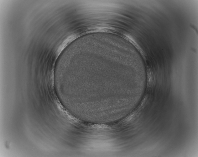 X0000102380994200808221758