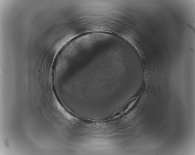 X0000102380995200808221758