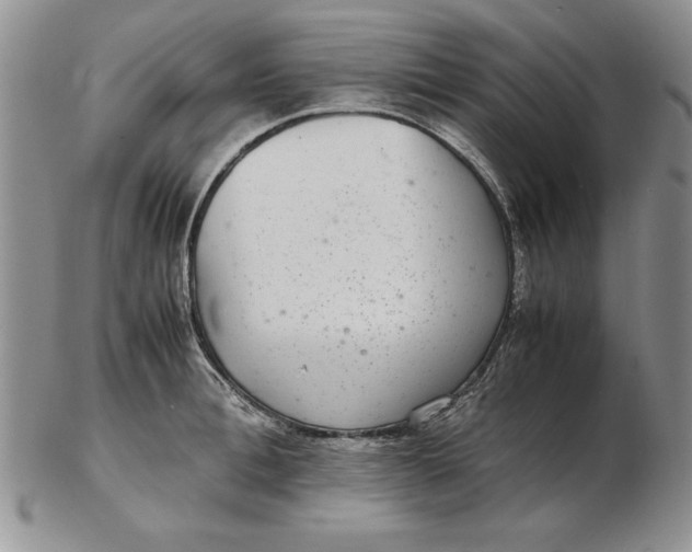 X0000102380996200808221758