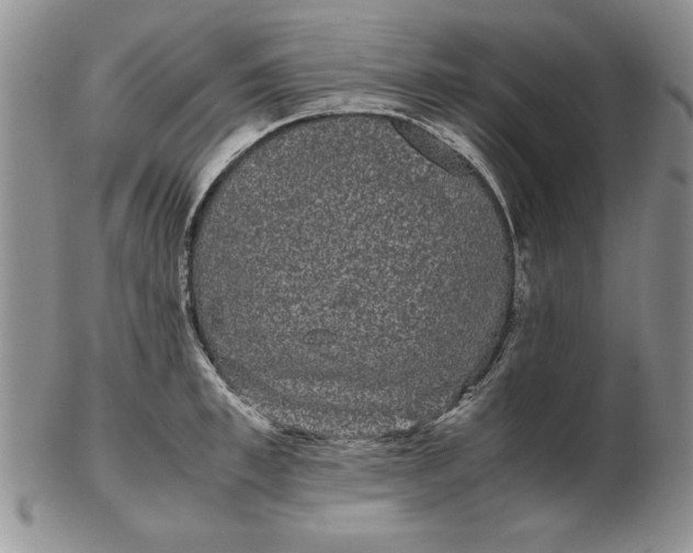 X0000102380997200808221758