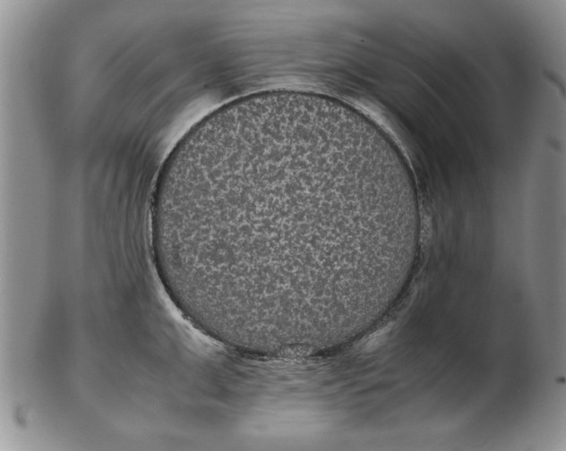 X0000102380999200808221758