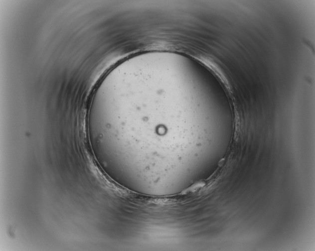 X0000102381000200808221758