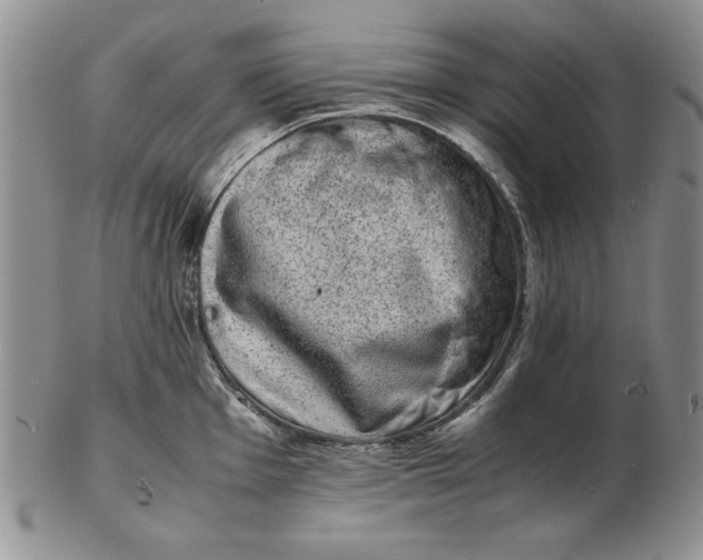 X0000102381001200808221758