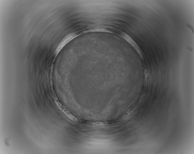 X0000102381002200808221758