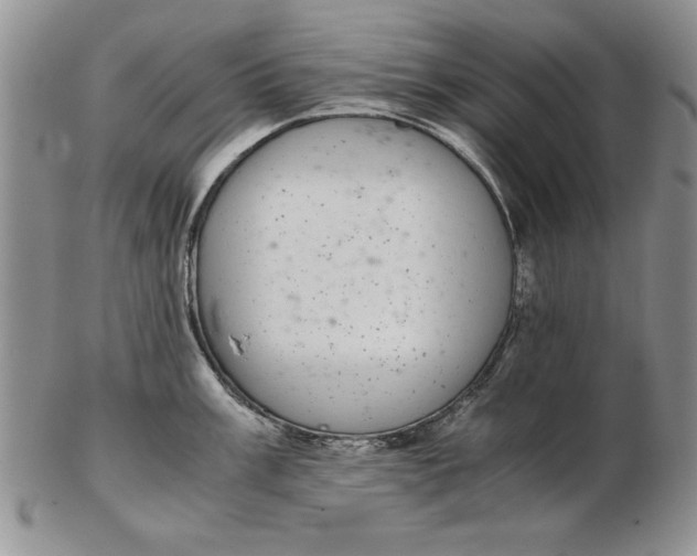 X0000102381003200808221758