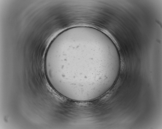 X0000102381004200808221758