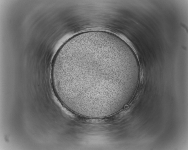 X0000102381005200808221757