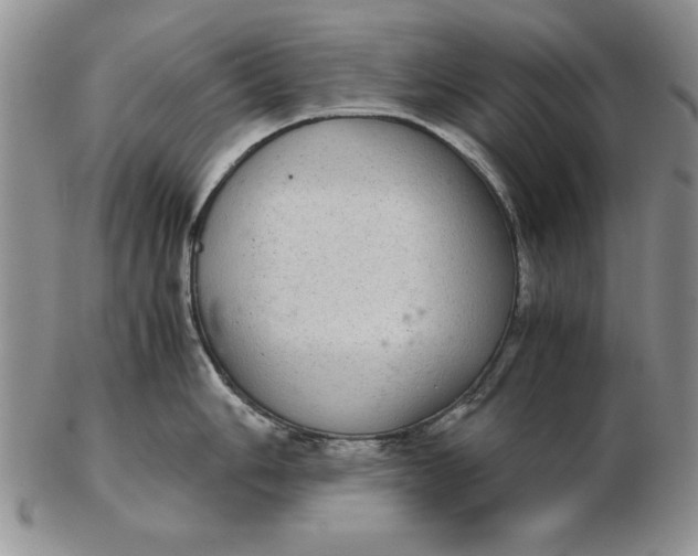 X0000102381006200808221757