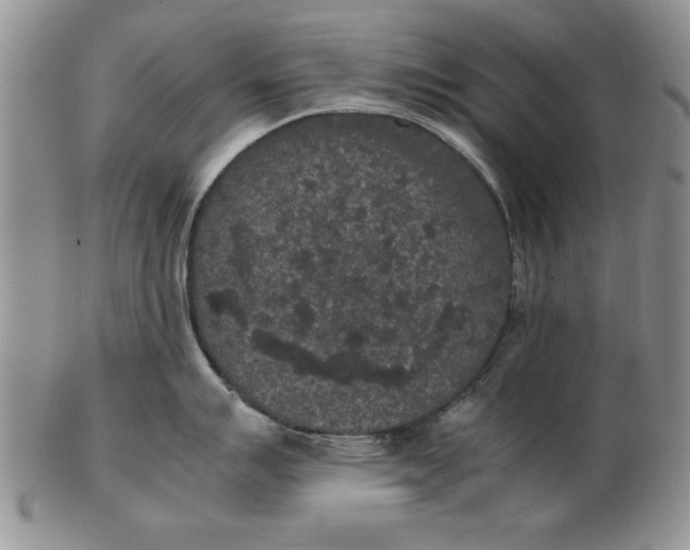 X0000102381007200808221757