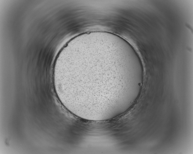 X0000102381008200808221757