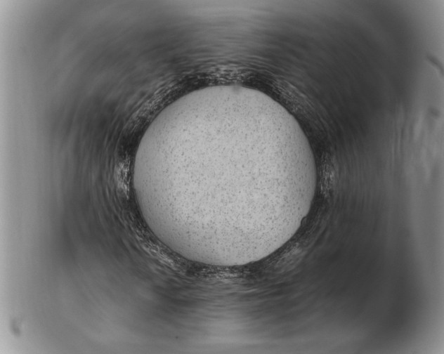 X0000102381010200808221757