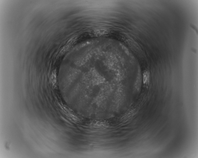 X0000102381011200808221757