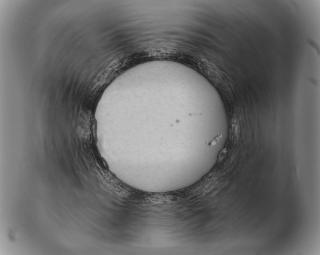 X0000102381012200808221757