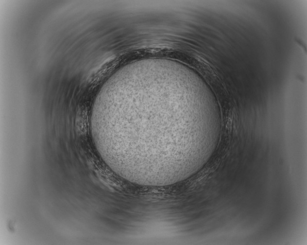 X0000102381014200808221757