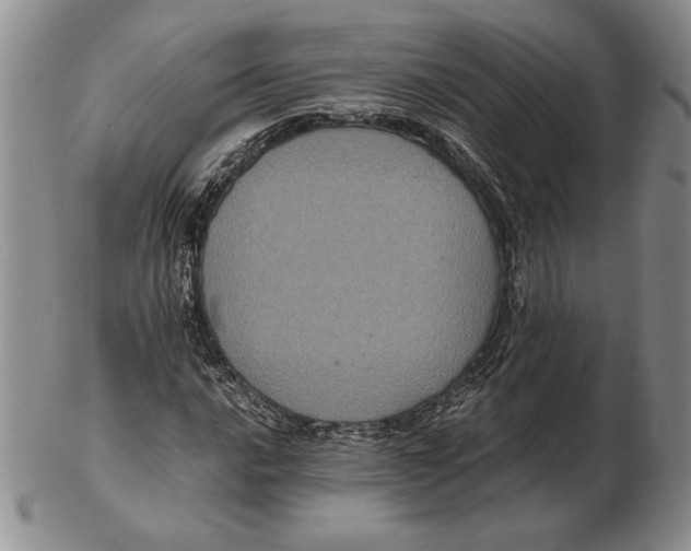 X0000102381016200808221757