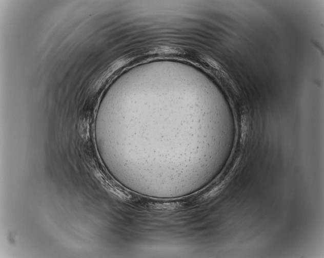 X0000102381017200808221757