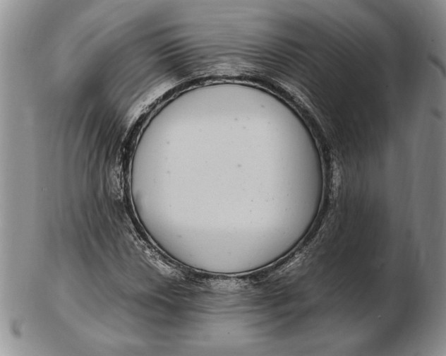 X0000102381018200808221757