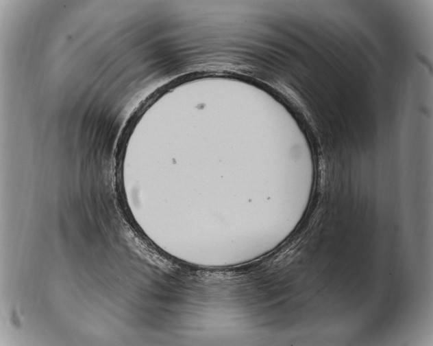 X0000102381020200808221757