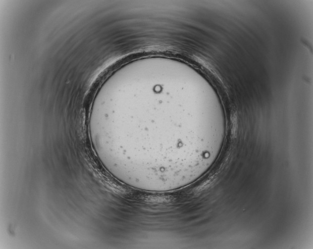 X0000102381021200808221757