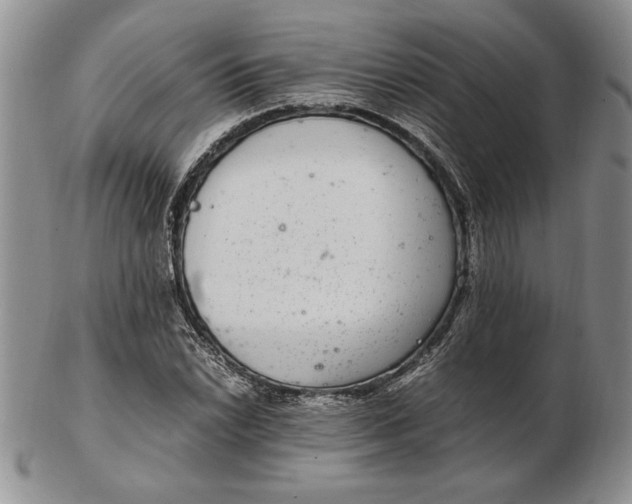 X0000102381022200808221757