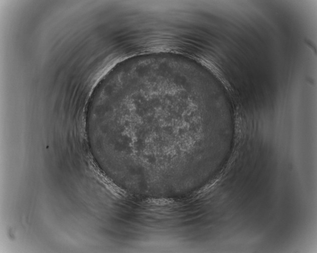 X0000102381023200808221757