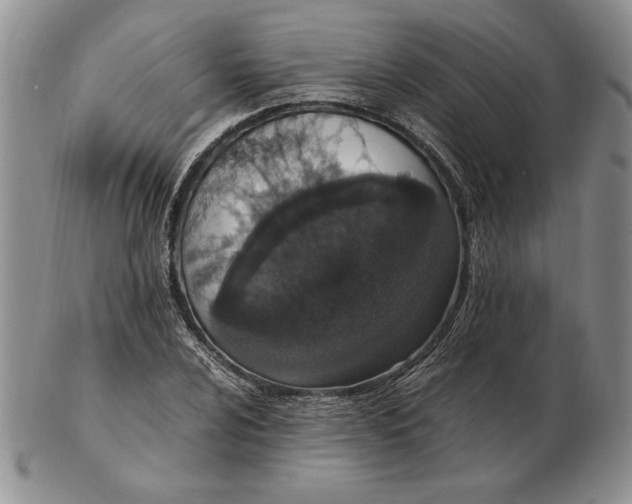 X0000102381024200808221757