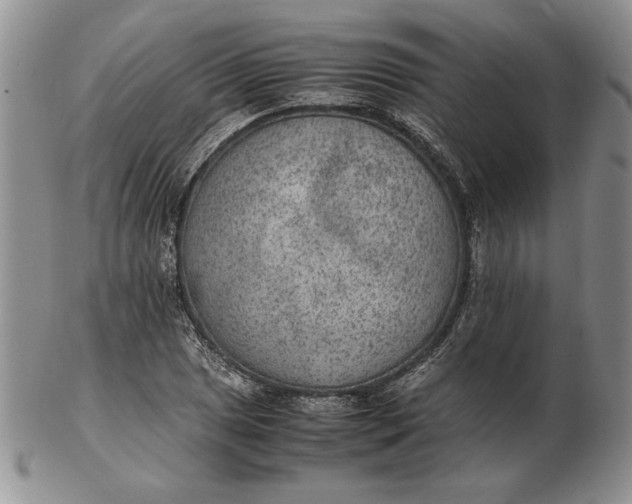 X0000102381025200808221757