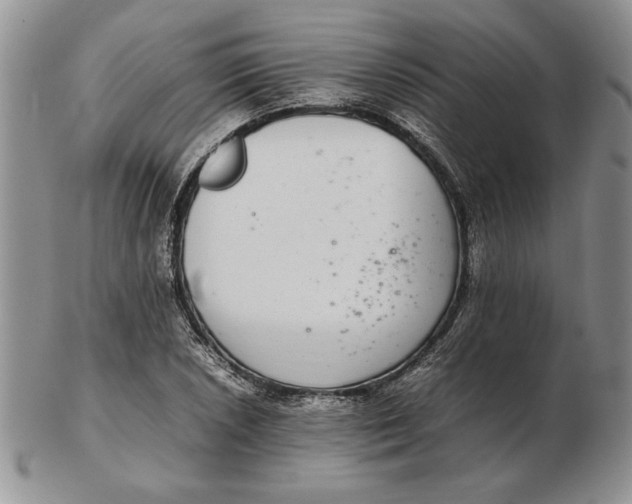 X0000102381026200808221757