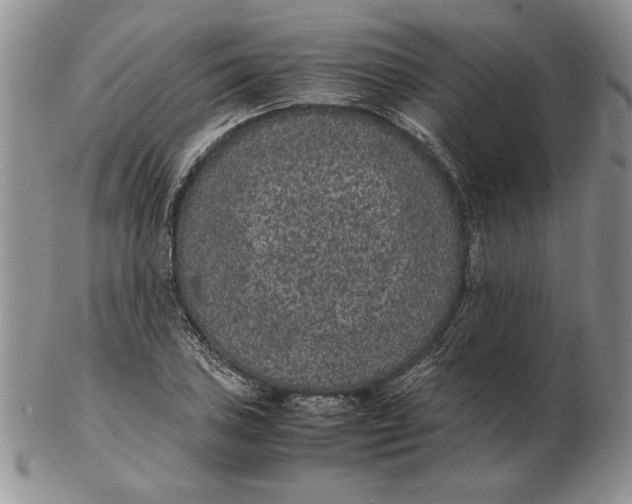 X0000102381027200808221757