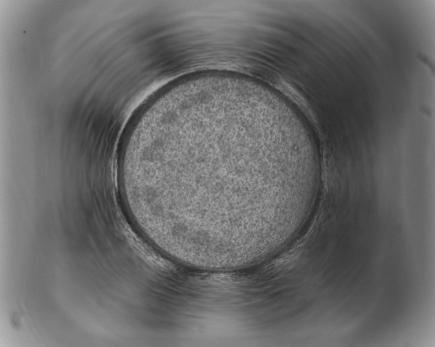 X0000102381028200808221757