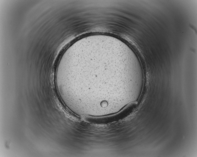 X0000102381029200808221757